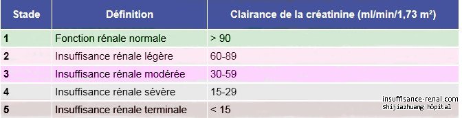 L'insuffisance rénale chronique et son traitement micro-médecin chinoise