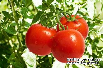     Peuvent- les atteints d'insuffisance rénale maner la tomate 
