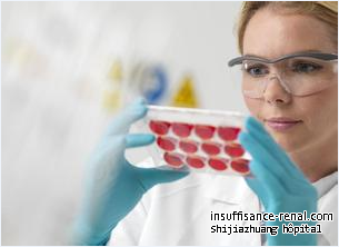 La thérapie de cellules souches pour le patient attients d’insuffisance rénale chronique