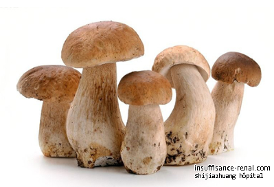 Peuvent les patients dialysés manger les champignons