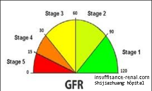 Comment améliorer le taux de filtration glomérulaire(GFR)