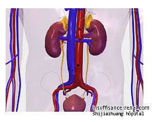 Néphropathie lupique avec haut Créatinine 11: Comment puis-je traiter sans dialyse