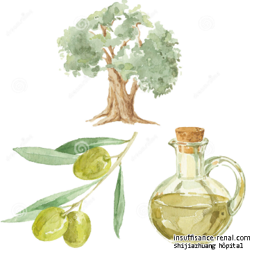 Est-huile d'olive vierge Bon pour patients atteints de insuffisance rénale chronique