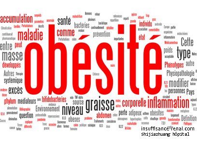 L’obésité augmente le risque de la maladie rénale