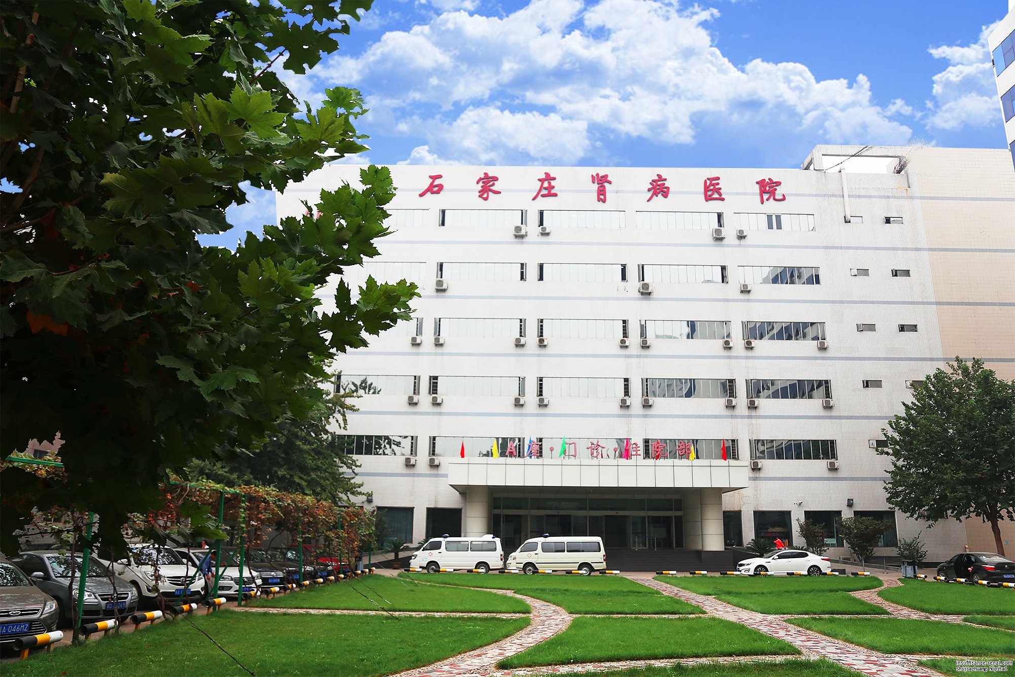 Les thérapies typiques de l’hôpital de Néphropathie de Shijiazhuang