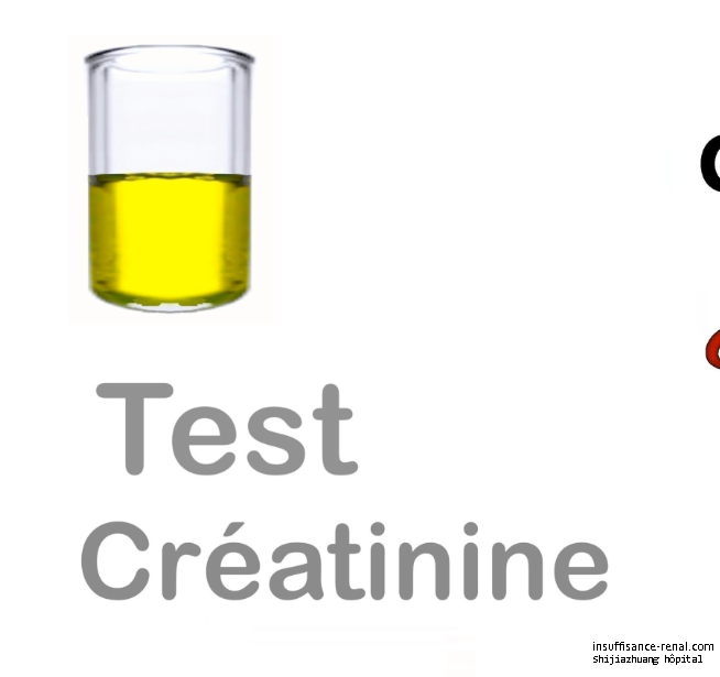 Le taux de créatinine 5.9 avec les complications , que fait- on ?
