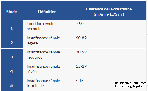 les causes et le diagnostic de la maladie rénale